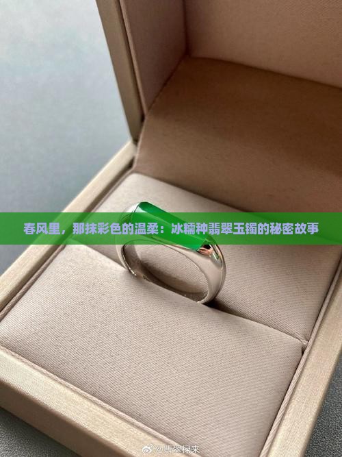 春风里，那抹彩色的温柔：冰糯种翡翠玉镯的秘密故事