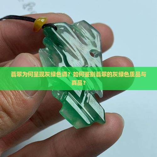 翡翠为何呈现灰绿色调？如何鉴别翡翠的灰绿色质品与真品？