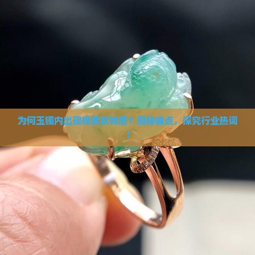 为何玉镯内出现棉絮状物质？揭秘痛点，探究行业热词！