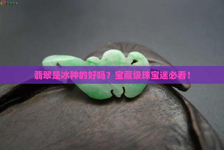 翡翠是冰种的好吗？宝藏级珠宝迷必看！