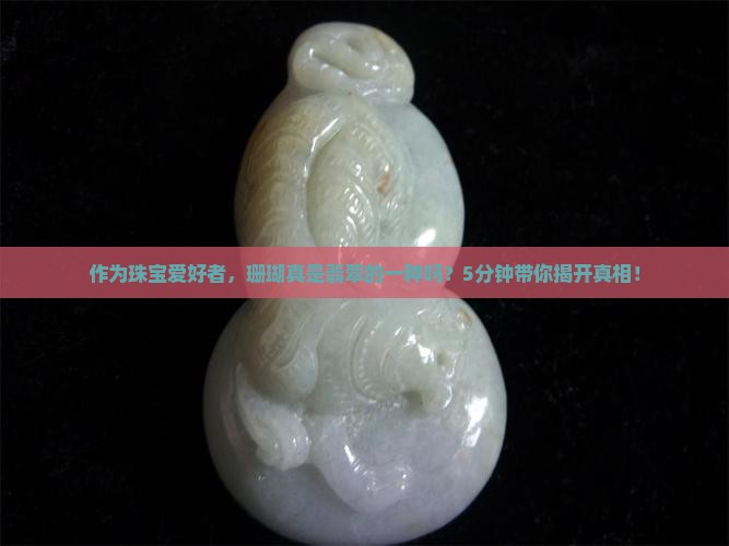 作为珠宝爱好者，珊瑚真是翡翠的一种吗？5分钟带你揭开真相！