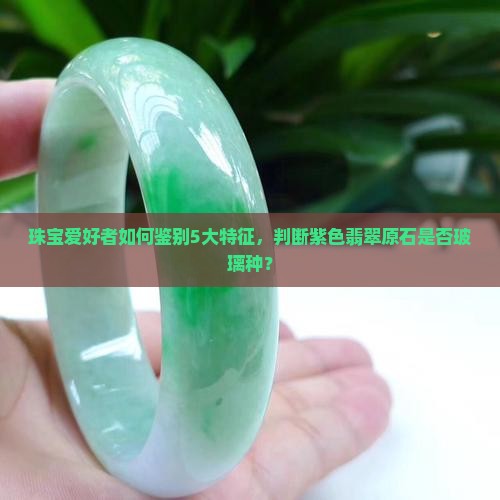 珠宝爱好者如何鉴别5大特征，判断紫色翡翠原石是否玻璃种？
