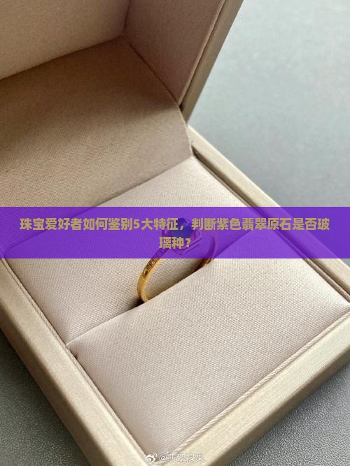 珠宝爱好者如何鉴别5大特征，判断紫色翡翠原石是否玻璃种？