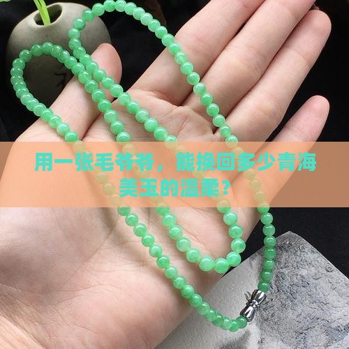 用一张毛爷爷，能换回多少青海美玉的温柔？
