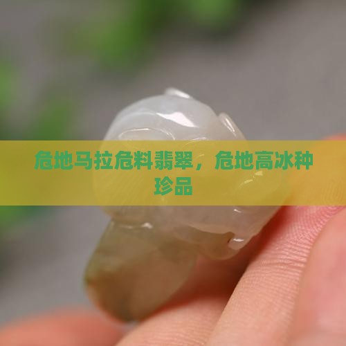 危地马拉危料翡翠，危地高冰种珍品