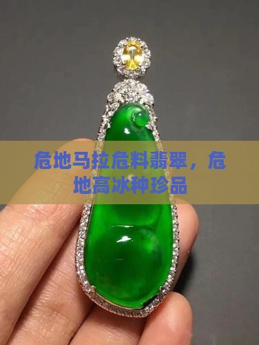 危地马拉危料翡翠，危地高冰种珍品