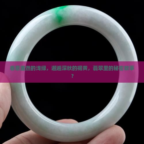 春意盎然的浅绿，邂逅深秋的褐黄，翡翠里的秘密故事？