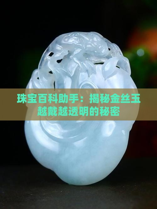 珠宝百科助手：揭秘金丝玉越戴越透明的秘密