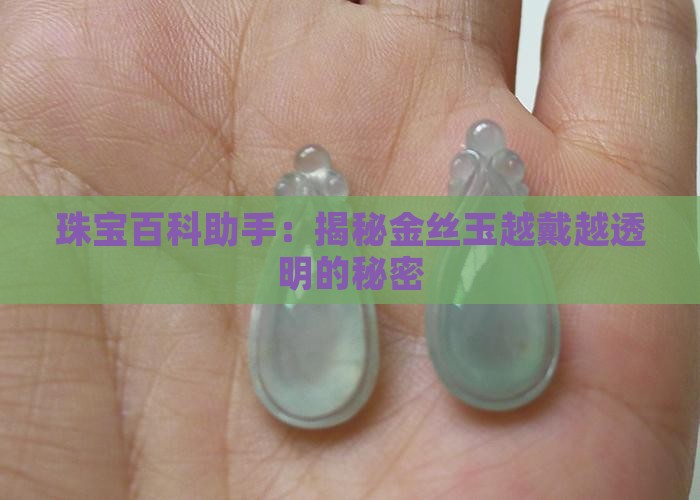 珠宝百科助手：揭秘金丝玉越戴越透明的秘密
