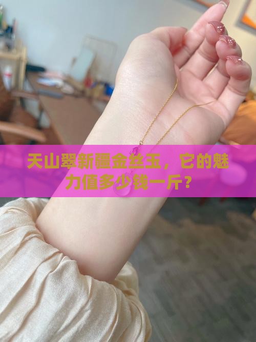 天山翠新疆金丝玉，它的魅力值多少钱一斤？