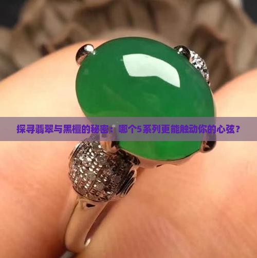 探寻翡翠与黑檀的秘密：哪个5系列更能触动你的心弦？
