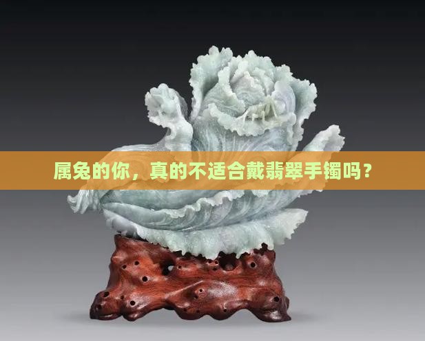 属兔的你，真的不适合戴翡翠手镯吗？