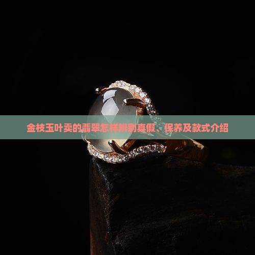 金枝玉叶卖的翡翠怎样