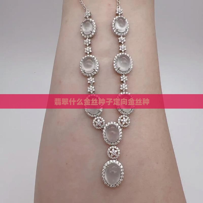 翡翠什么是金丝种子