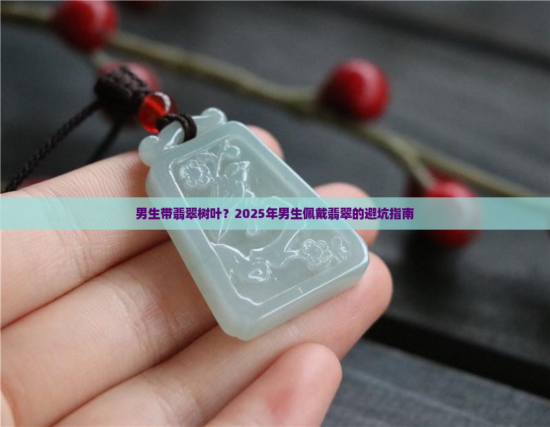 男生带翡翠树叶