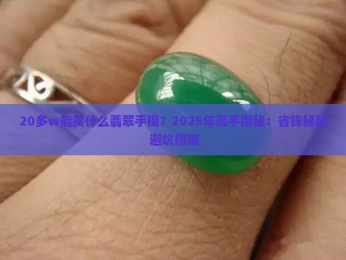 20多w能买什么翡翠手镯
