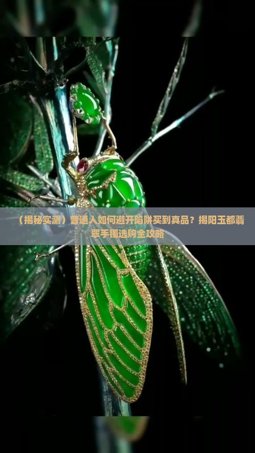 揭阳玉都翡翠手镯