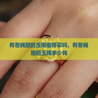 有苍蝇翅的玉镯值得买吗