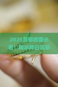 糯冰种白翡翠值钱吗