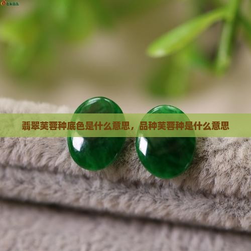 翡翠芙蓉底色是什么意思