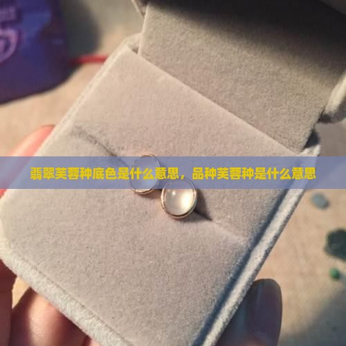 翡翠芙蓉底色是什么意思