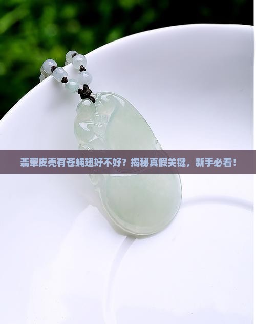 翡翠皮壳有苍蝇翅好不好