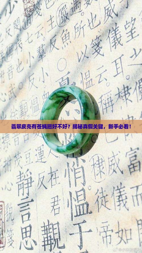 翡翠皮壳有苍蝇翅好不好
