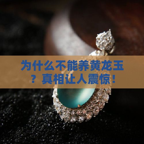 为什么不能养黄龙玉