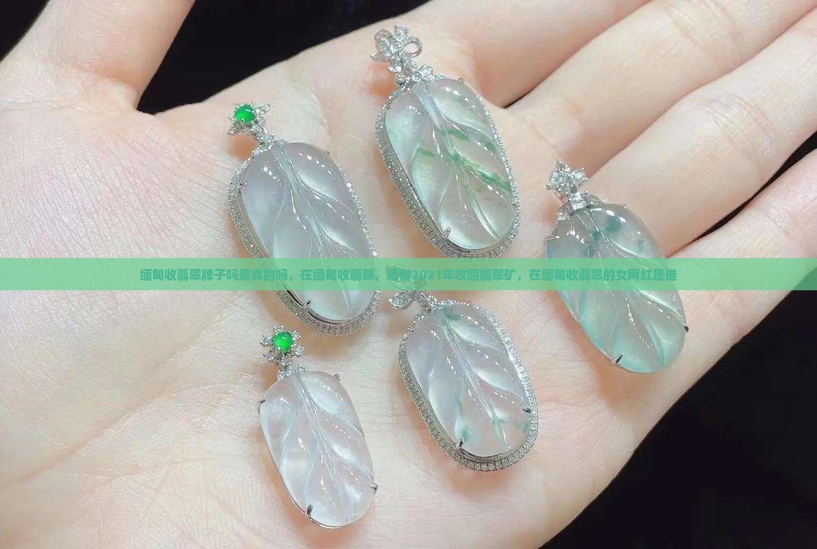 缅甸收翡翠牌子吗是真的吗