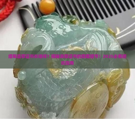 缅甸翡翠证书是什么样的