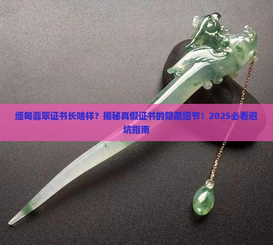 缅甸翡翠证书是什么样的