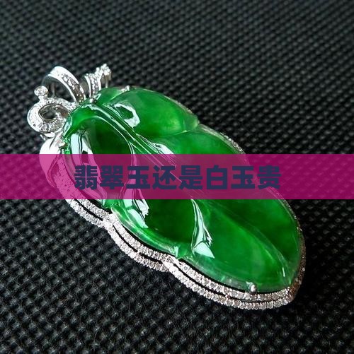 翡翠玉还是白玉贵