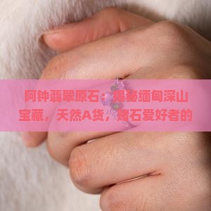 阿钟翡翠原石