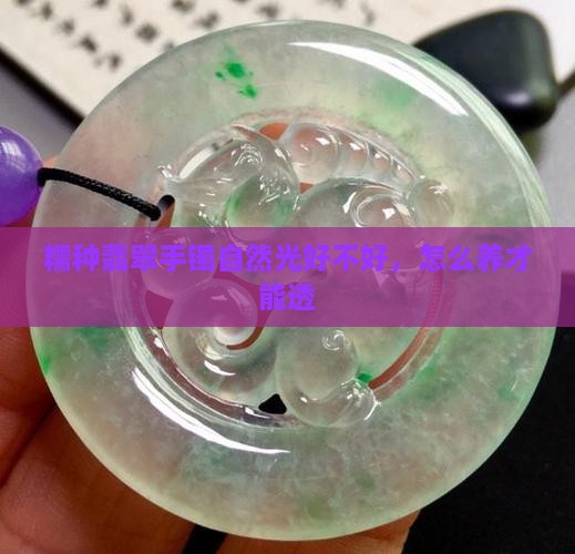 糯种翡翠手镯自然光