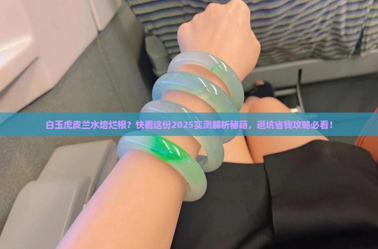 水培白玉虎皮兰底部腐烂怎么回事