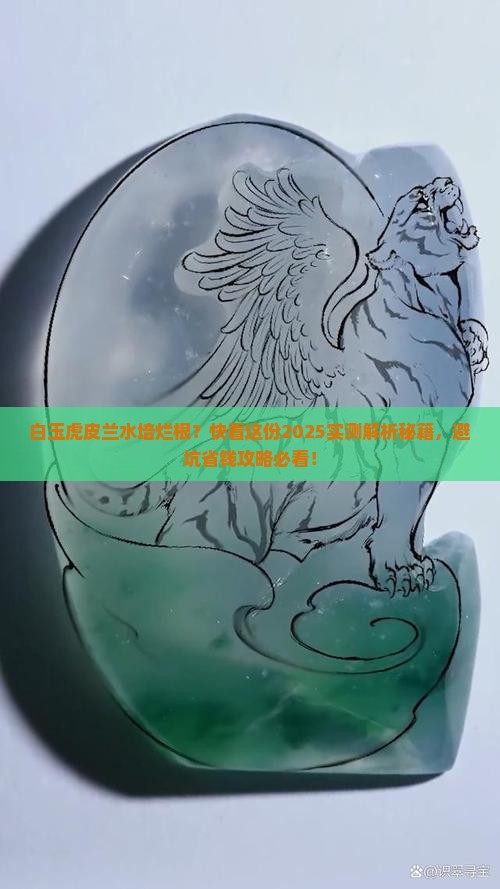 水培白玉虎皮兰底部腐烂怎么回事