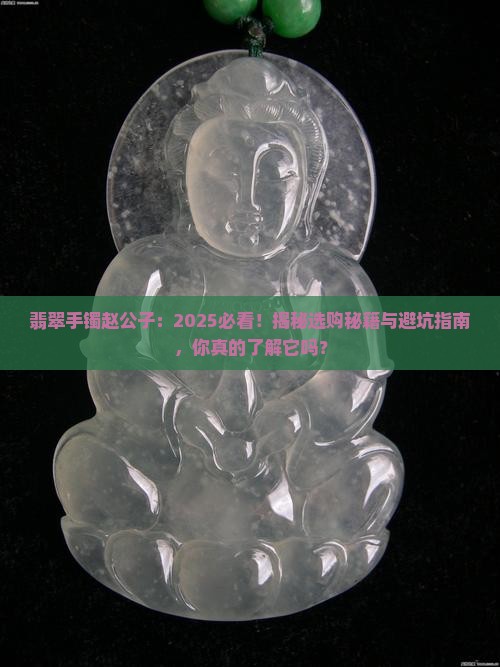 翡翠手镯赵公子