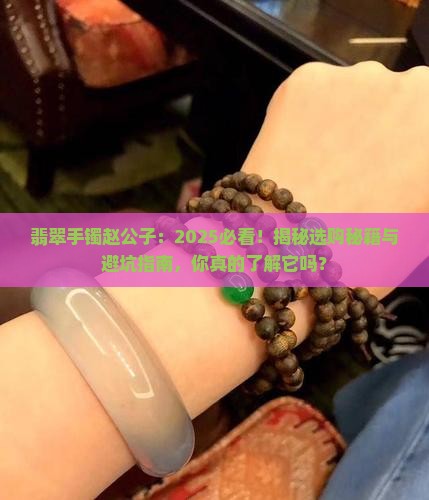 翡翠手镯赵公子