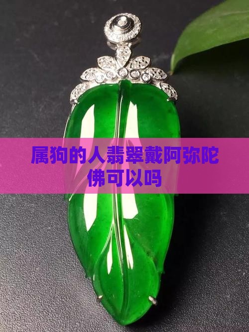 属狗的人翡翠戴阿弥陀佛可以吗