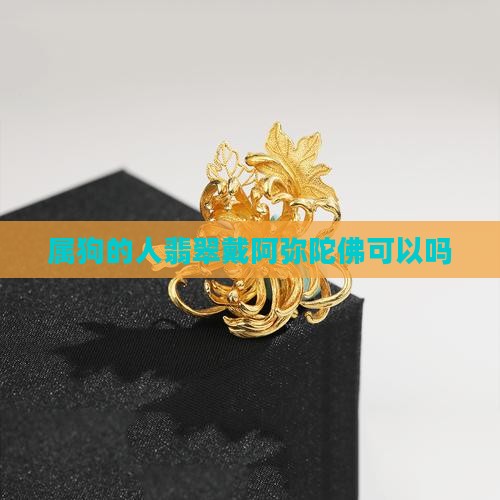 属狗的人翡翠戴阿弥陀佛可以吗