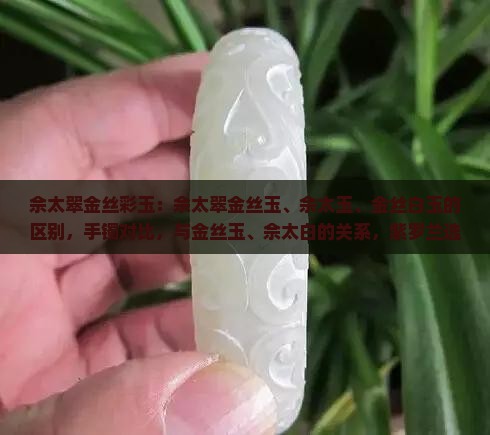 佘太翠金丝彩玉