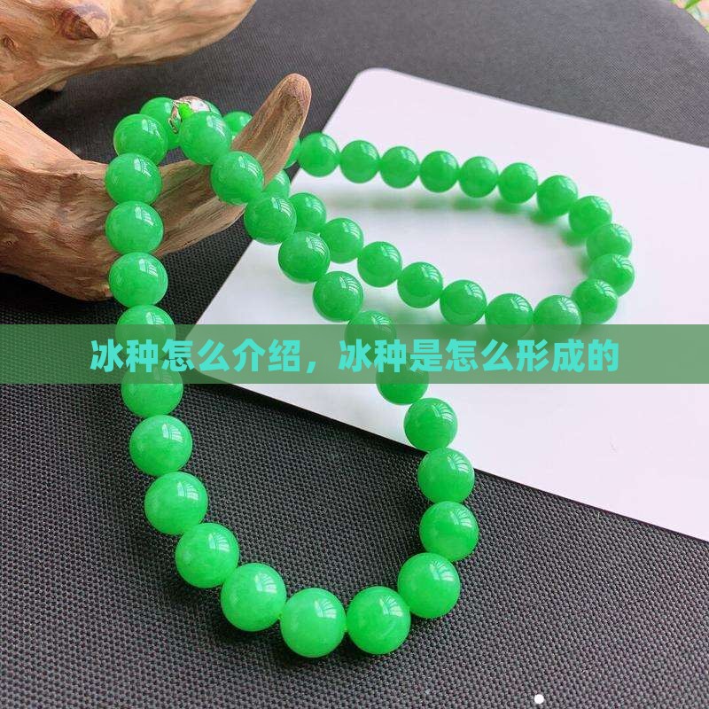 冰种怎么介绍