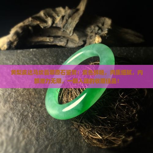 黄梨皮达马坎翡翠原石鉴赏