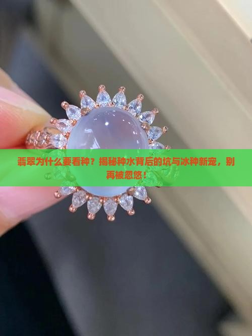 翡翠为什么要看种