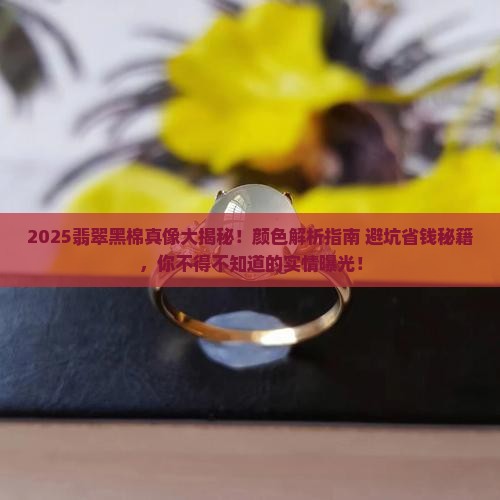 翡翠黑棉是什么颜色