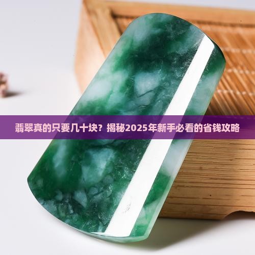 翡翠一般几十块钱