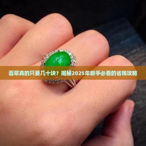 翡翠一般几十块钱