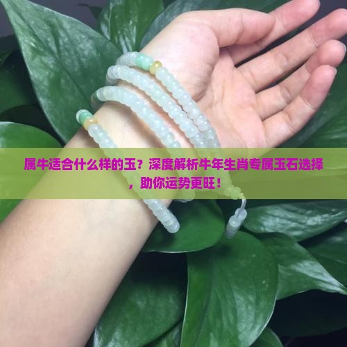 属牛适合什么样的玉