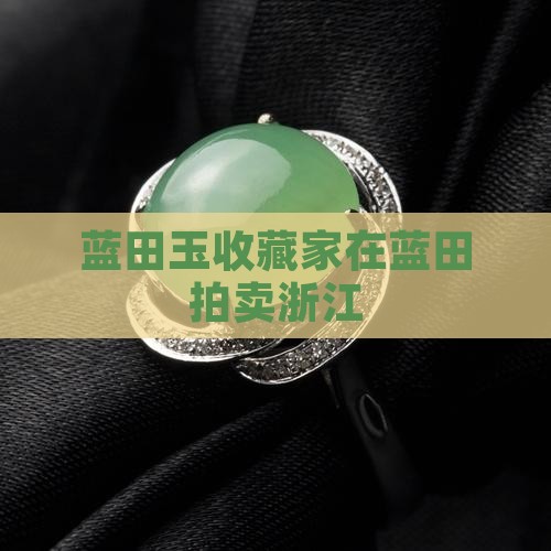 蓝田玉石收藏家拍卖浙江