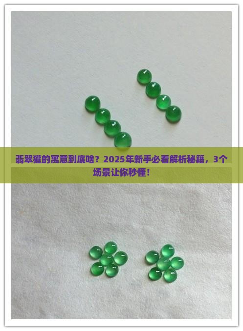翡翠獾的寓意是什么